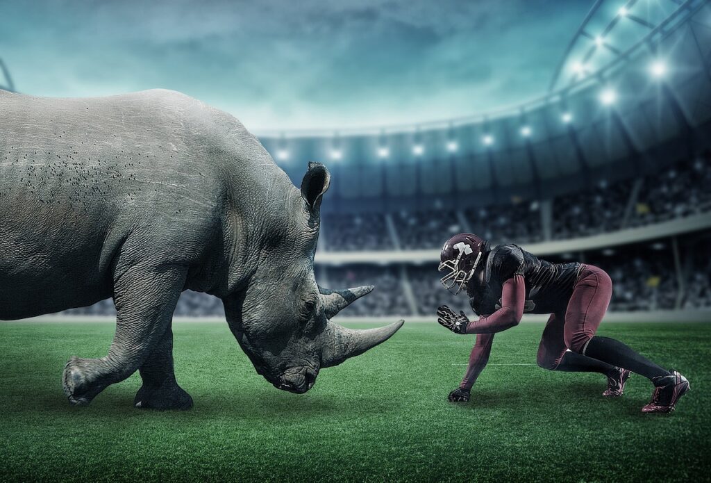 american football, rhinoceros, sports